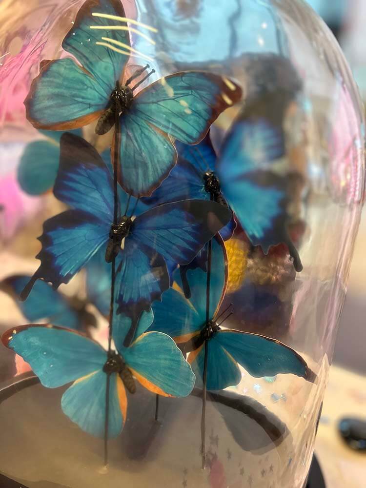 Blue and black butterfly dome by The Dutch Hospital