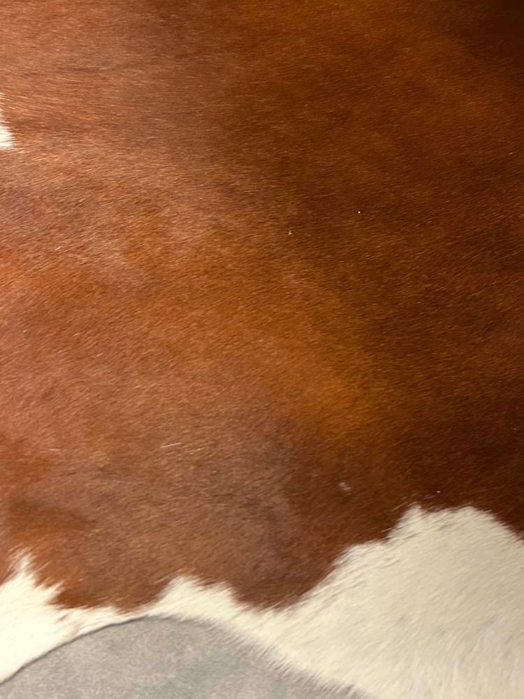 durable floor rug, natural texture rug, sustainable home décor