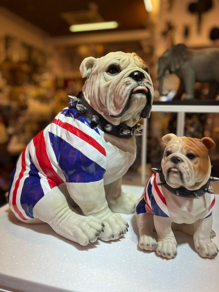 Large sitting English bulldog in Union Flag coat