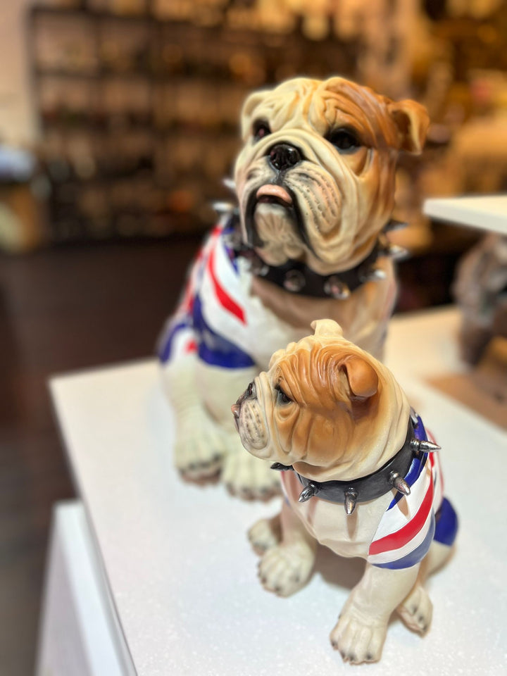 Large sitting English bulldog in Union Flag coat