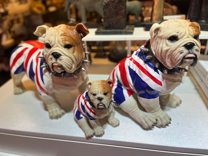 Large sitting English bulldog in Union Flag coat