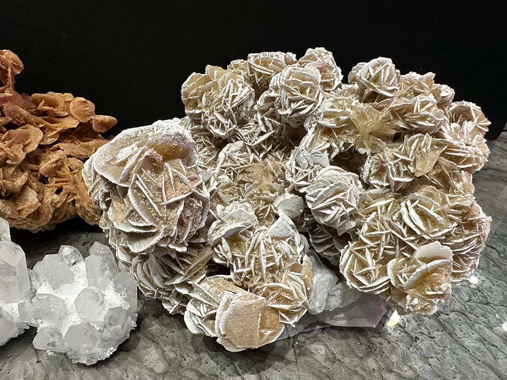 White roses, Desert rose stunning gypsum formations similar to natural corals 