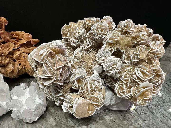 White roses, Desert rose stunning gypsum formations similar to natural corals 