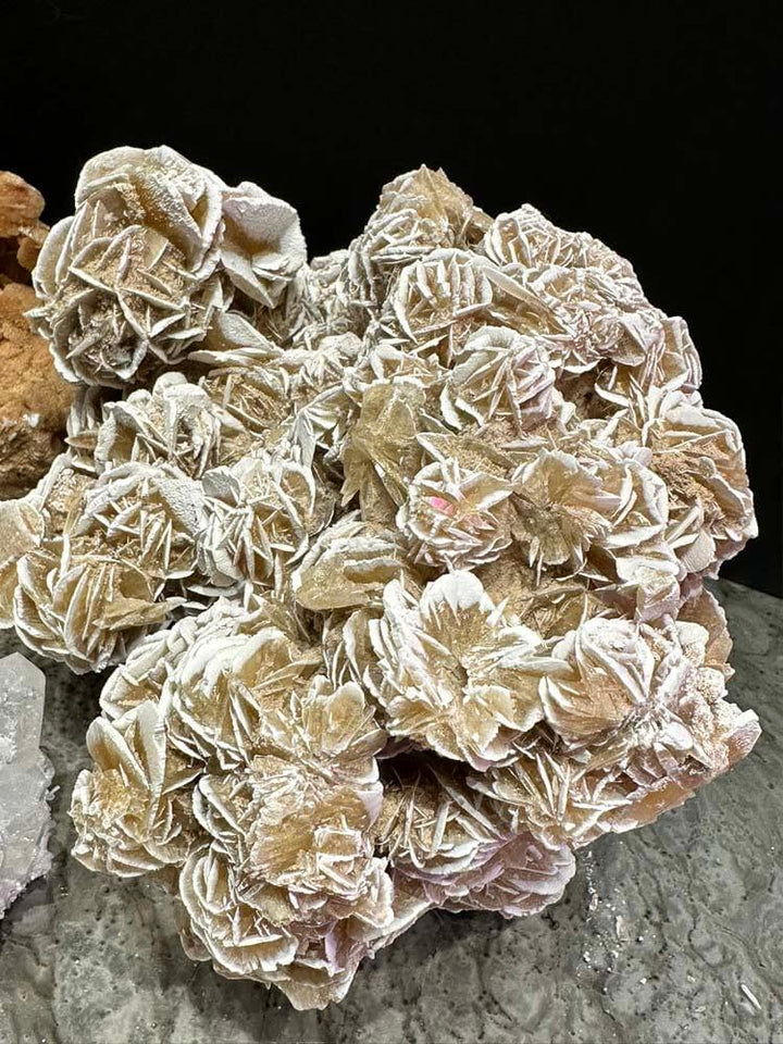 Desert rose stunning gypsum formations similar to natural corals 