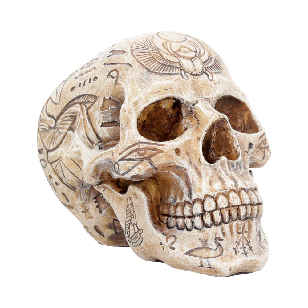 Human Skull: Hieroglyphic Skull