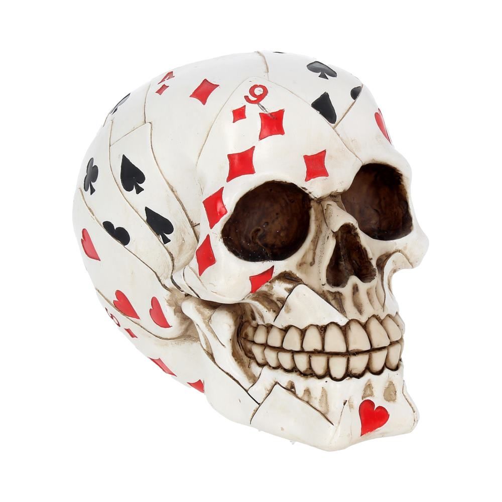 Human Skull: Dead Mans Hand