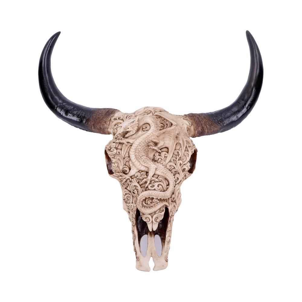 Wall Decor : Carved Dragon Animal Skull