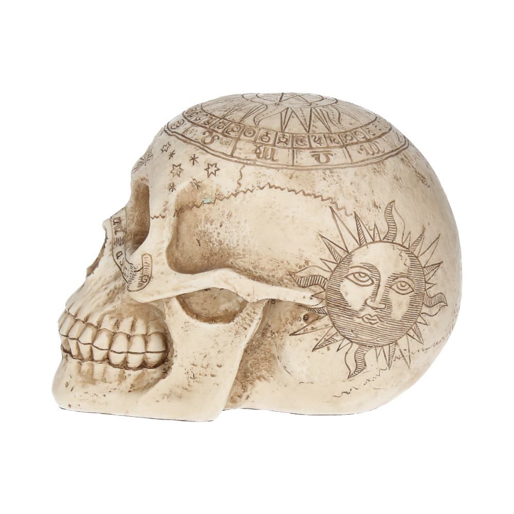 Human Skull: Astrological Skull