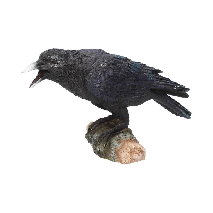 Black Raven –  Gothic Fantasy  – Raven Crow figure