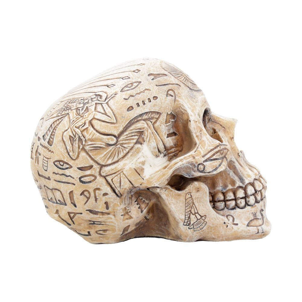 Human Skull: Hieroglyphic Skull