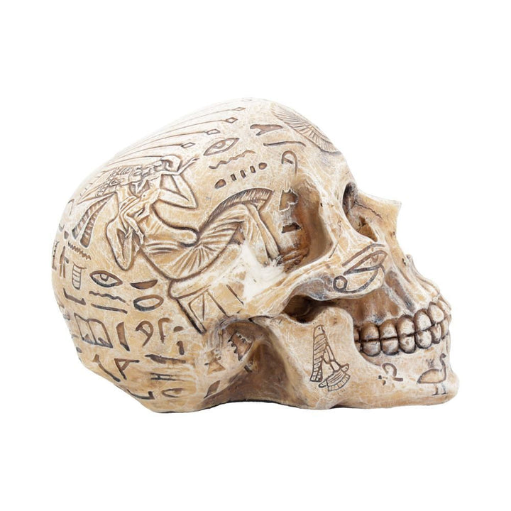 Human Skull: Hieroglyphic Skull