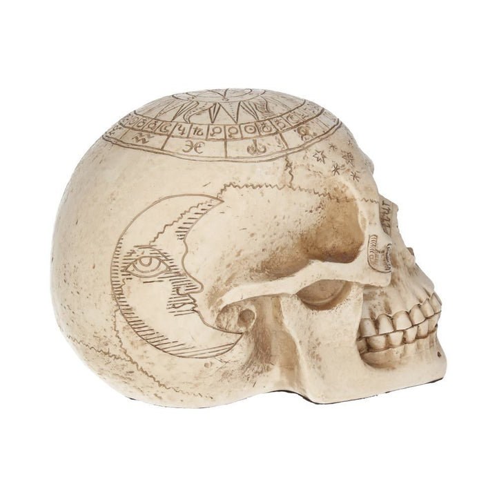 Human Skull: Astrological Skull