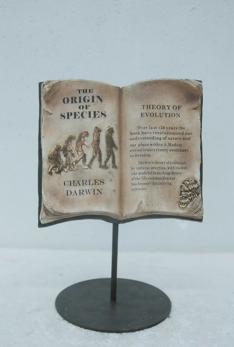 Evolution, Book on Stand Showing Evolution Theory by Charles Darwin