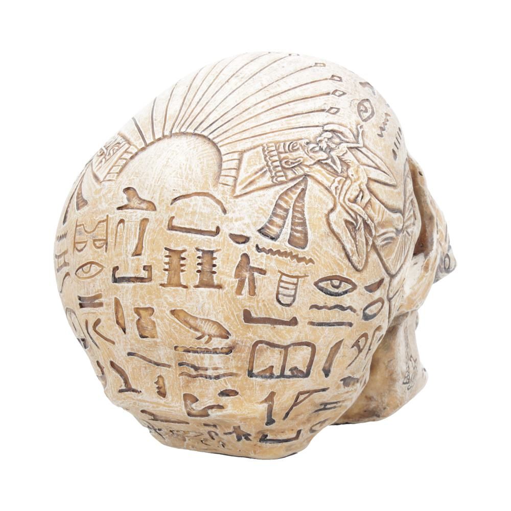 Human Skull: Hieroglyphic Skull