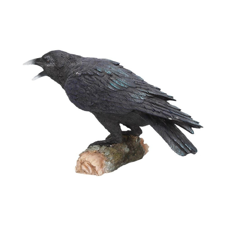 Black Raven –  Gothic Fantasy  – Raven Crow figure