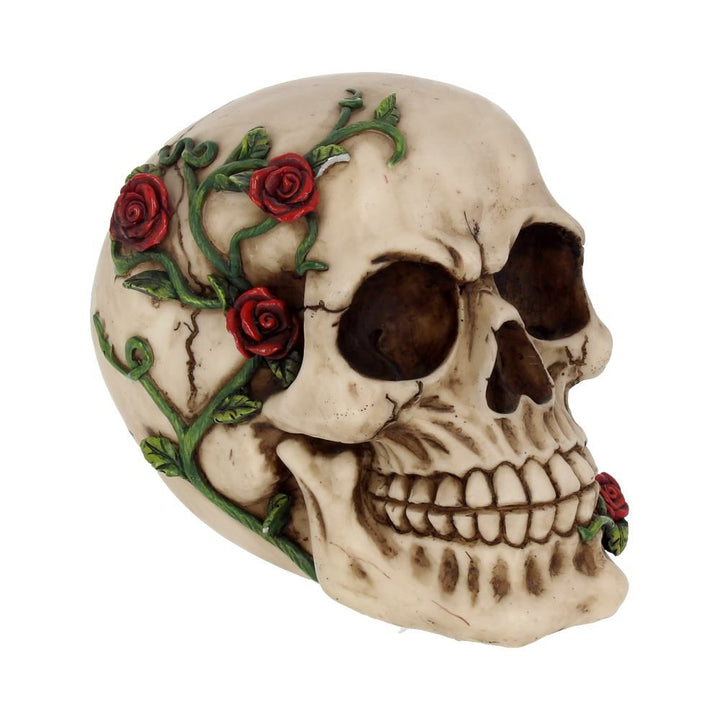 Human Skull:  Gothic Rose Vine Covered Skull