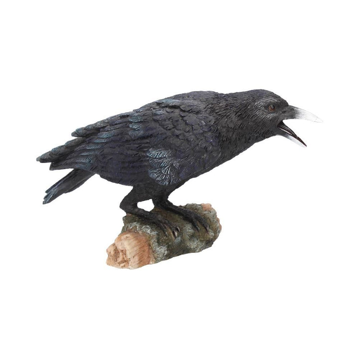 Black Raven –  Gothic Fantasy  – Raven Crow figure