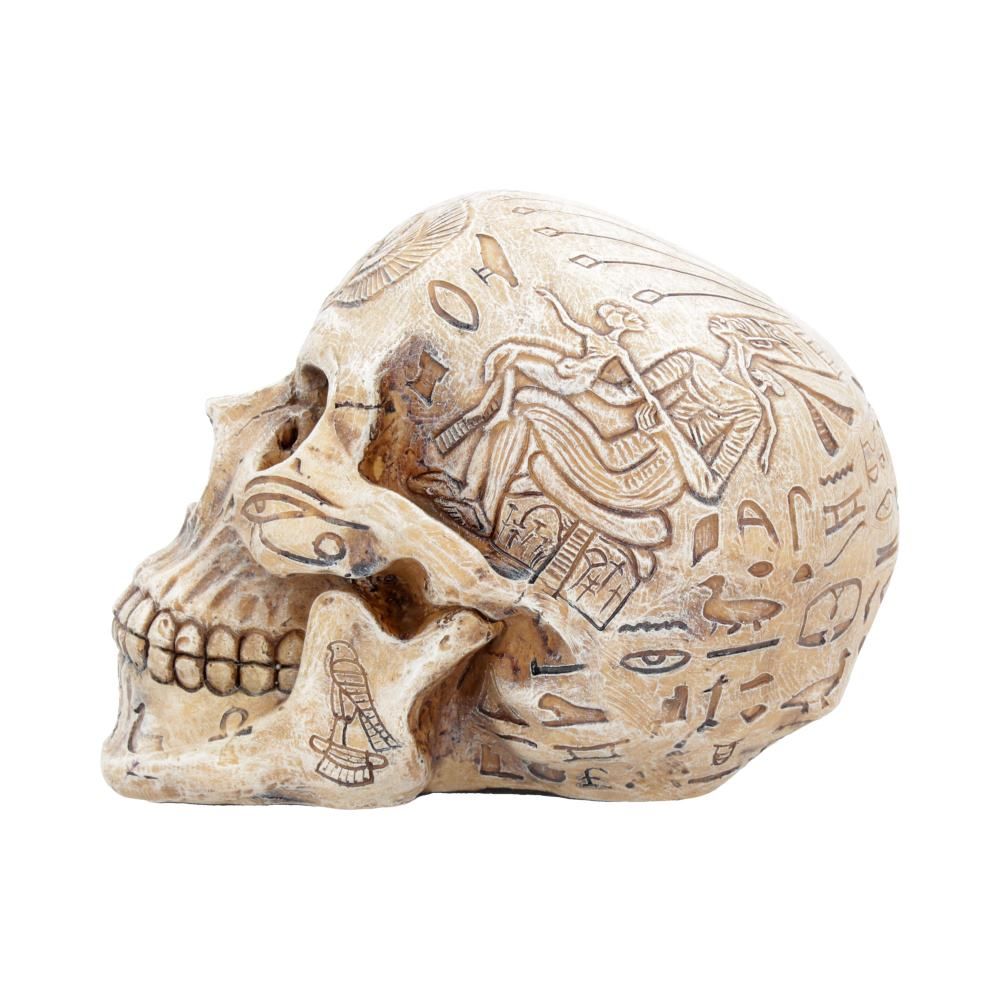 Human Skull: Hieroglyphic Skull