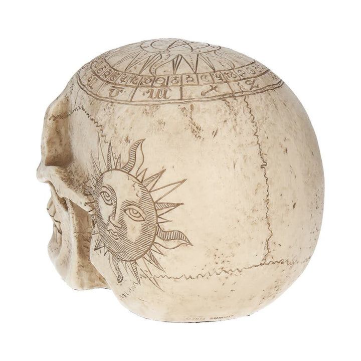 Human Skull: Astrological Skull