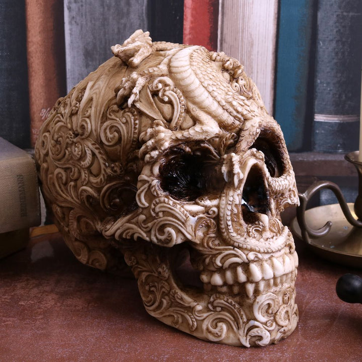 Human Skull: Cranial Drakos