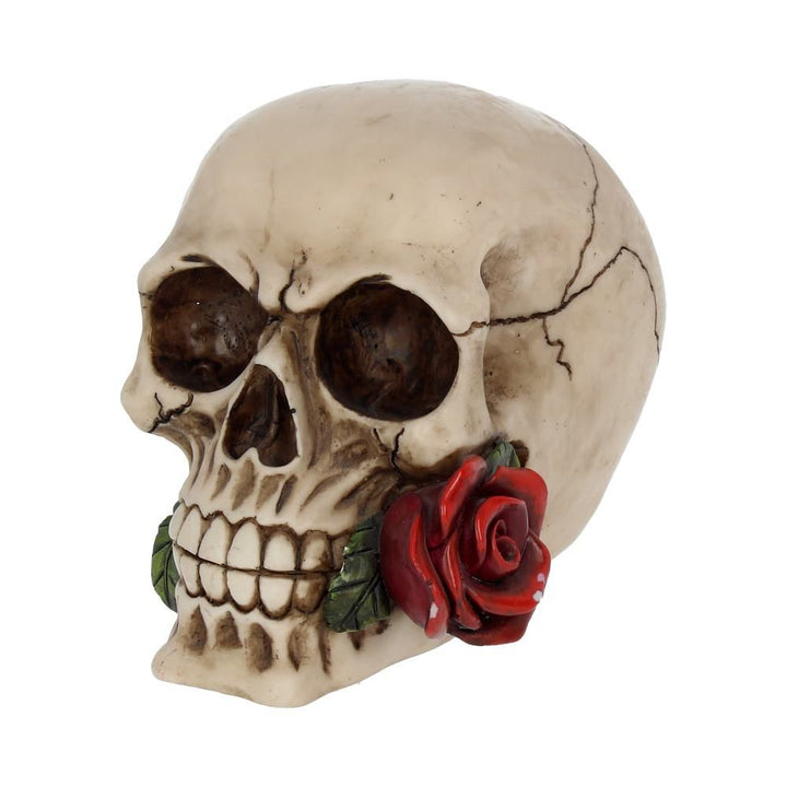 Human Skull:Dead Rose skull