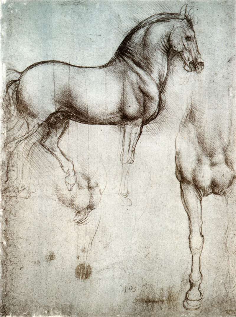 Da Vinci -Horse