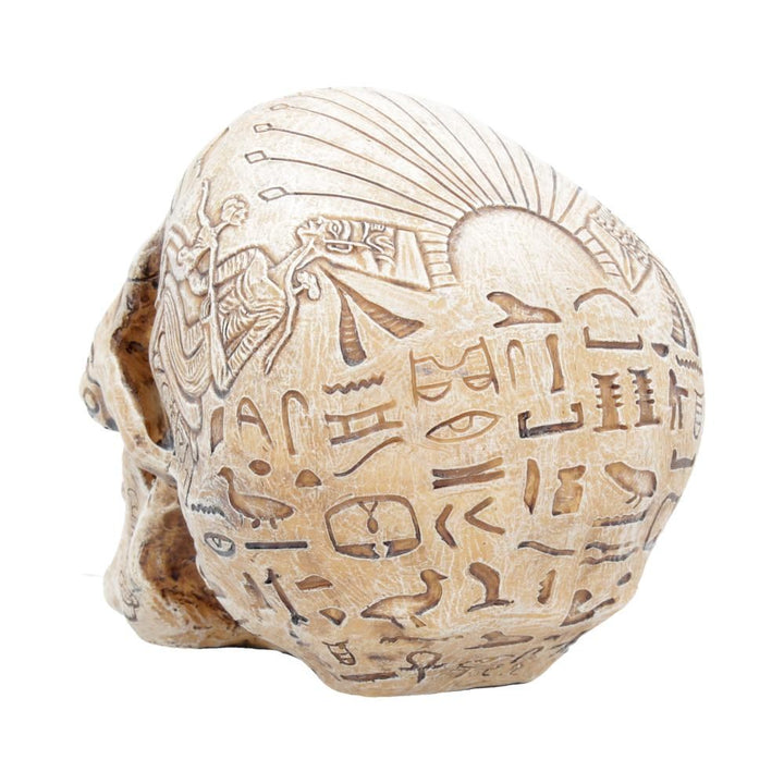 Human Skull: Hieroglyphic Skull