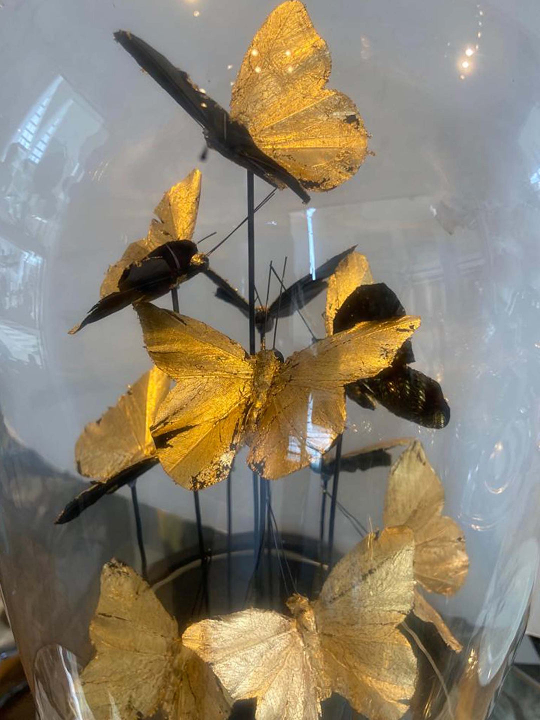 Golden butterfly on a glass dome