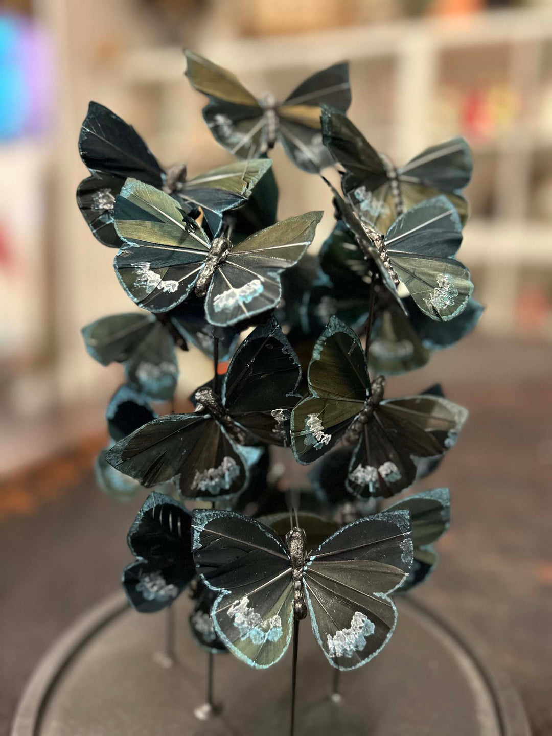 Butterfly dome, Beautiful faux butterflies in glass dome, Butterfly Garden home decor, table top glass dome decoration,  Decorate your home with butterfly themed décor, Beautiful faux butterflies in glass dome (artificial butterflies) ,  Painted in black & blue finish, black and blue butterflies, Morpho butterfly, tropical butterflies, butterfly dome 
