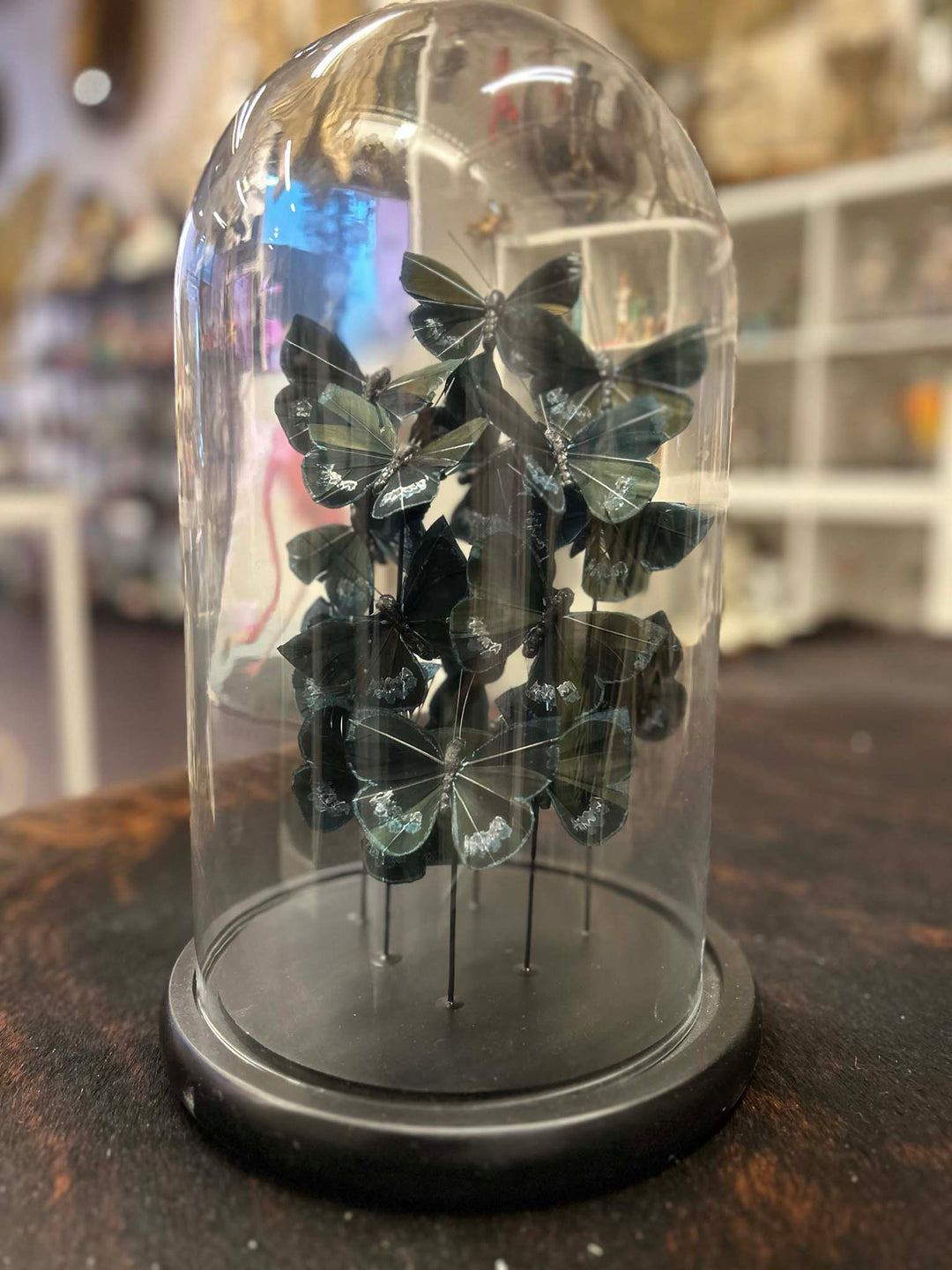 Stunning blue butterfly glass dome, Bright blue, black and touch of silver, artificial butterfly home decor, Butterfly dome