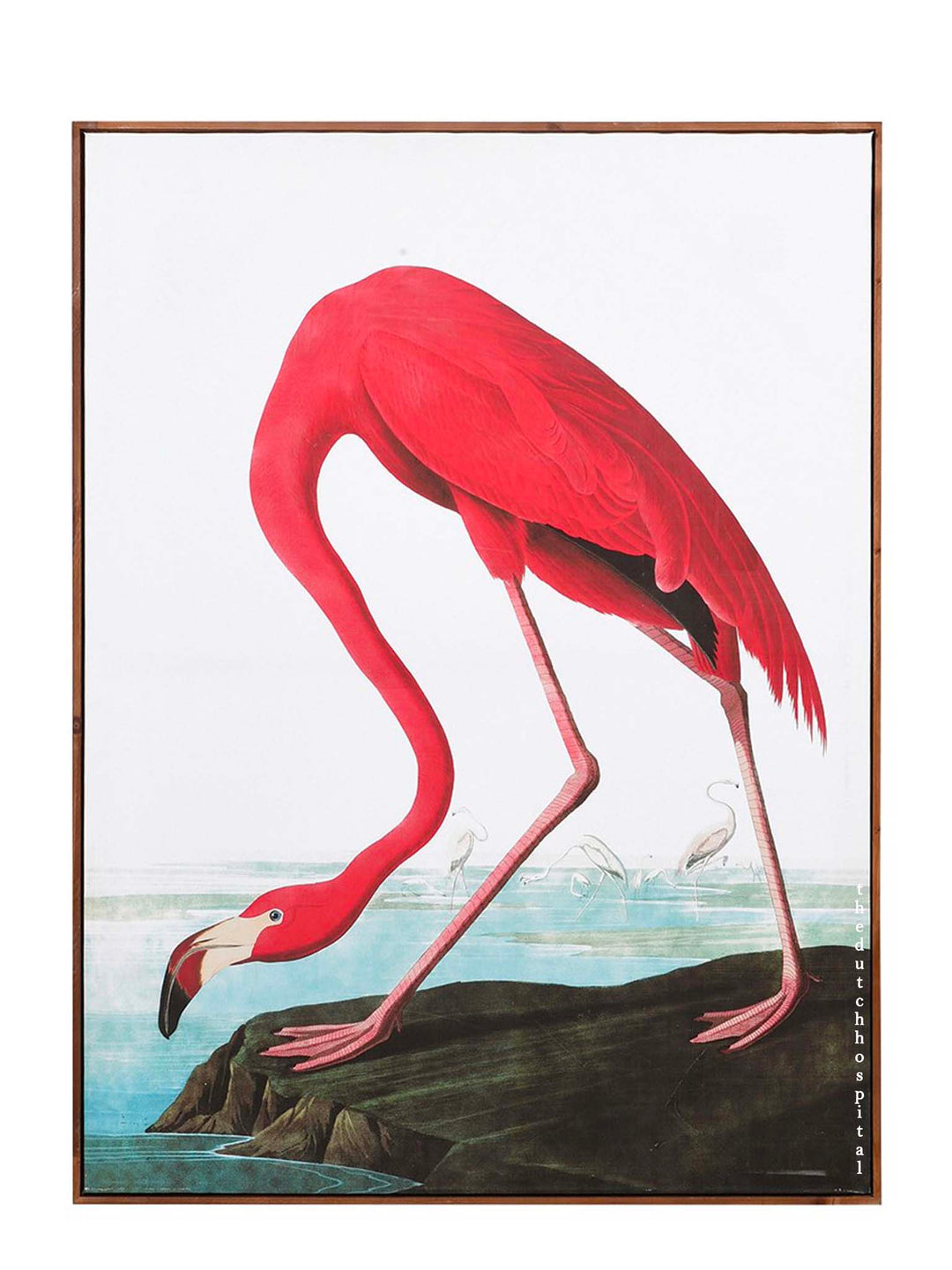 American Flamingo by John James Audubon, Pink Flamingo Vintage Art Print, Birds of America Decor, Flamingo by John Audubon