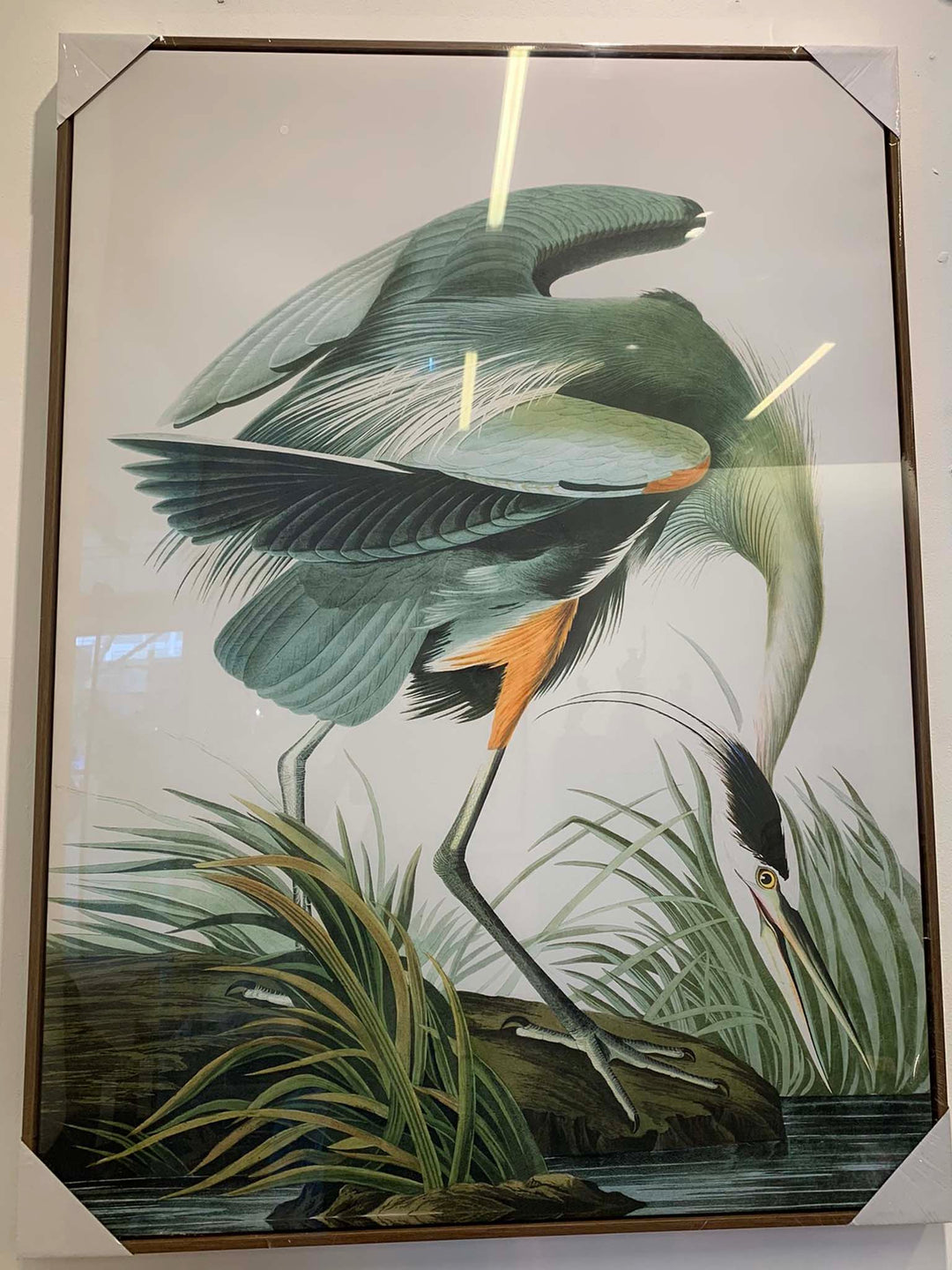 John James Audubon, Blue Heron Wall Picture, 113x83cm