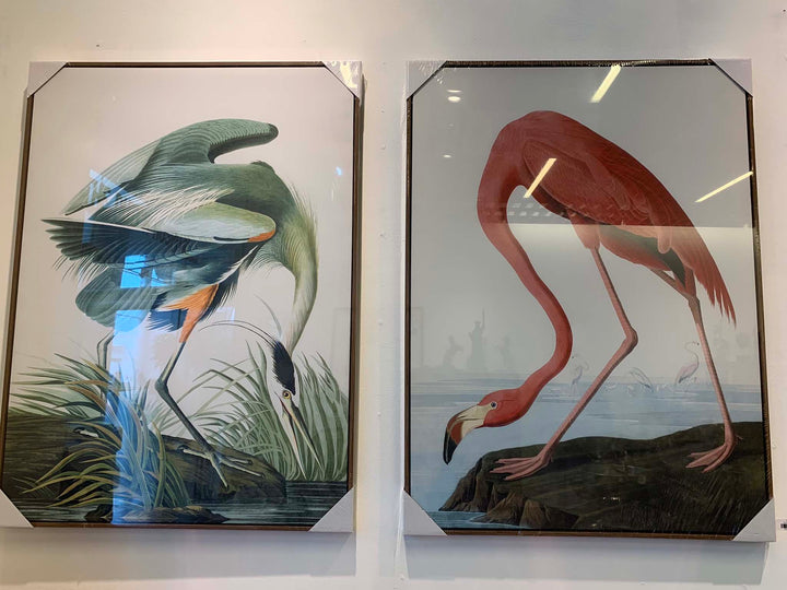 American Flamingo by John James Audubon, Pink Flamingo Vintage Art Print, Birds of America Decor, Flamingo by John Audubon