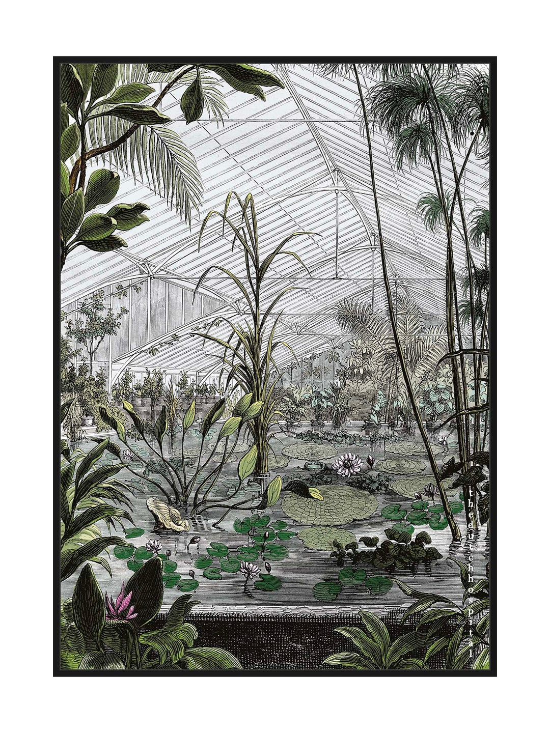 Outdoor Garden Framed Canvas, Greenhouse Botanical Wall Art BLACK frame