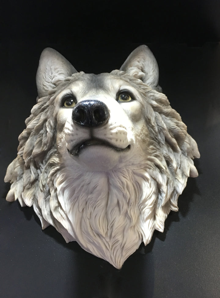 Large grey wolf head wall mount