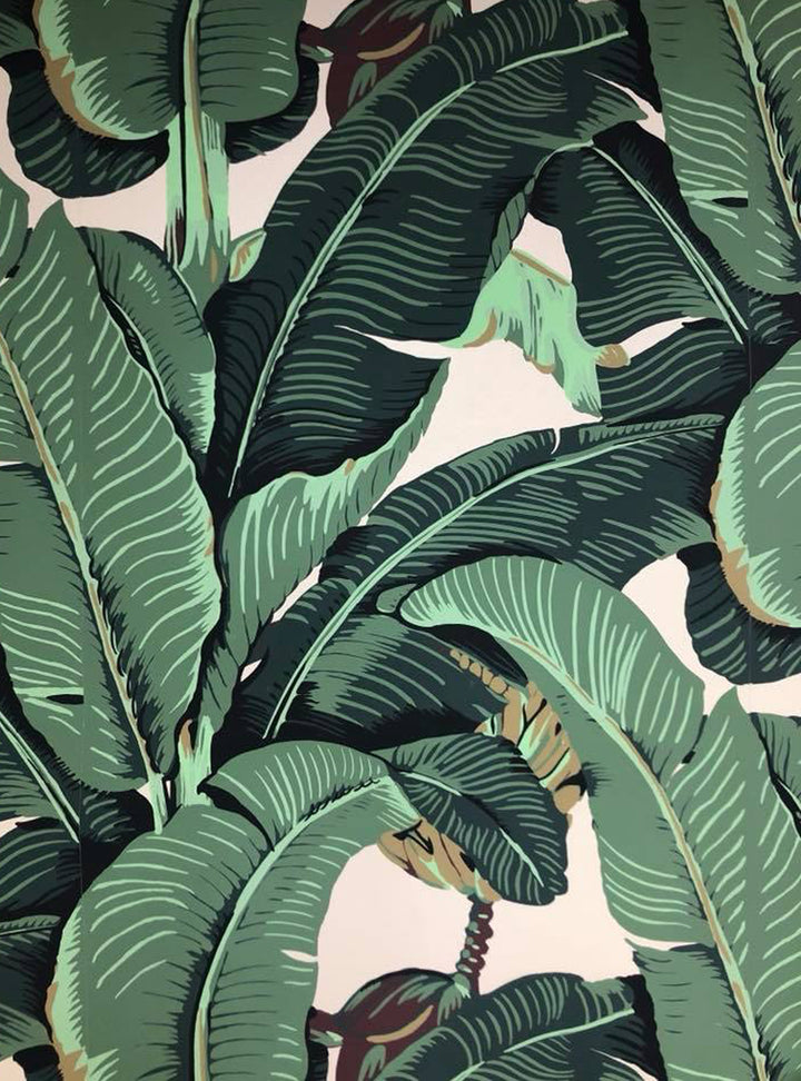 Authentic Martinique Wallpaper, Beverly Hills Banana Leaf Wallpaper