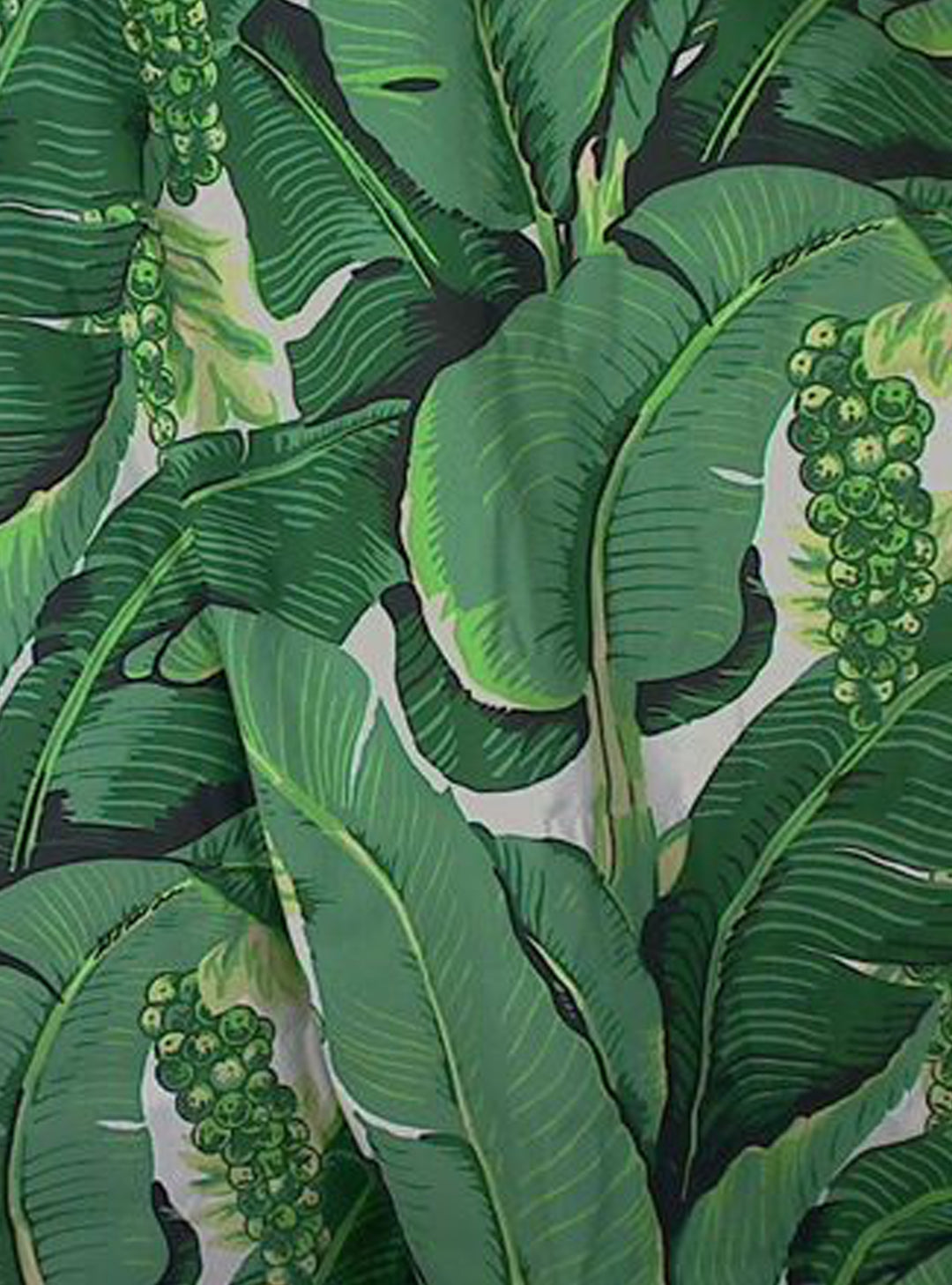 Brazilians Banana Leaves Wallpaper, Tropical Print with Bananas and Grape Vines Print