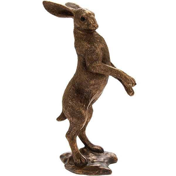 Small Hare, Bronze Colour Rabbit,
