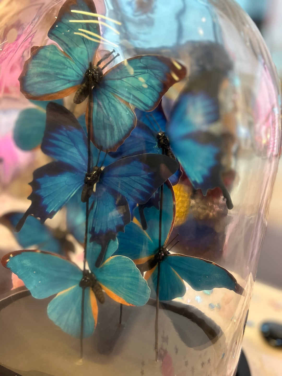 Blue Butterfly, Butterfly Dome, Glass Dome, Morpho Butterfly, 42cm