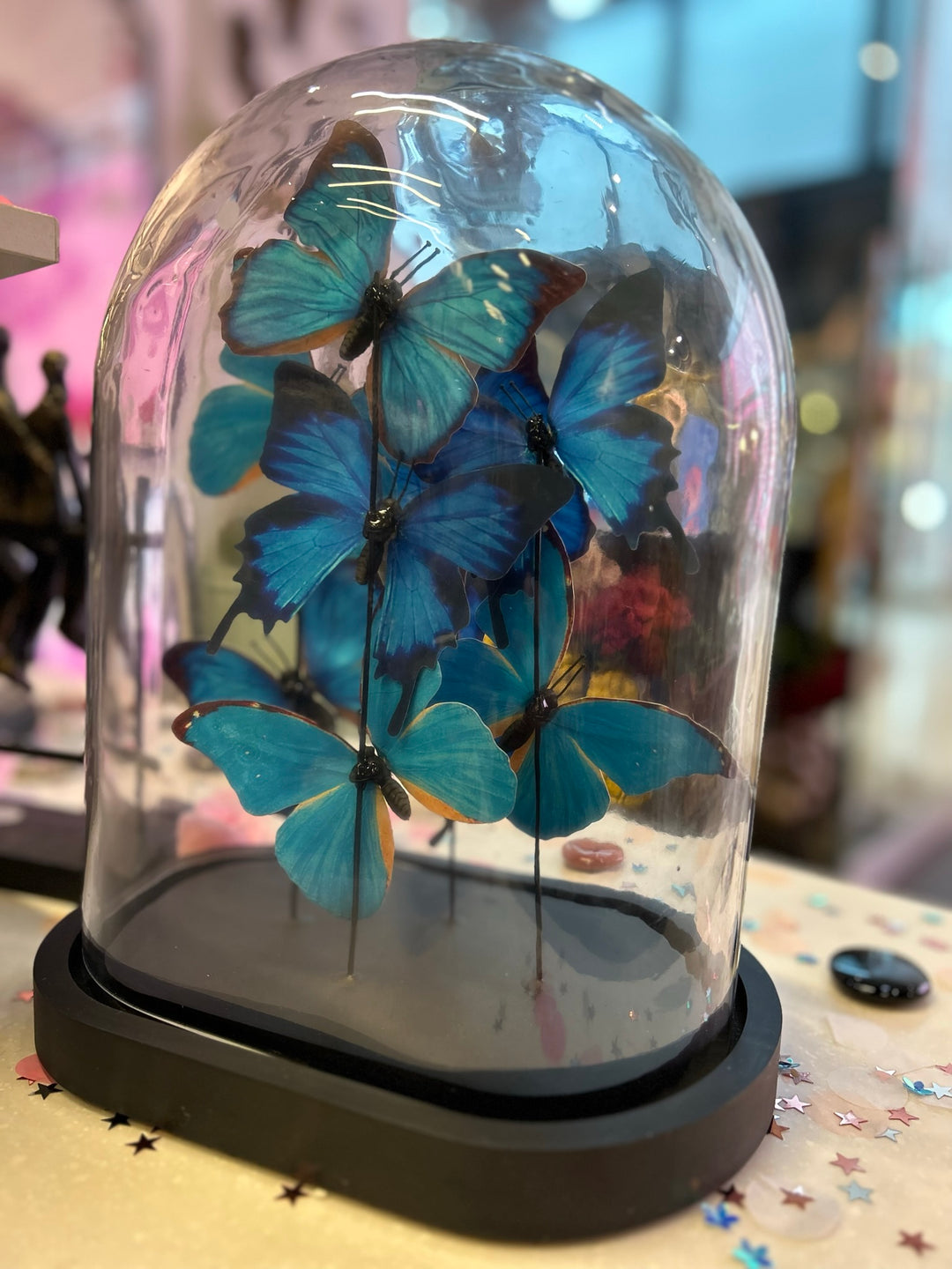 Blue Butterfly, Butterfly Dome, Glass Dome, Morpho Butterfly, 42cm