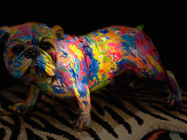 Multi coloured English bull dog splash art