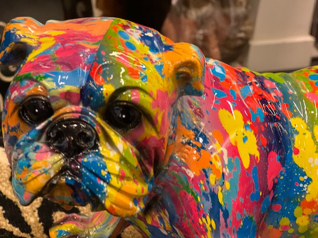 Multi coloured English bull dog splash art