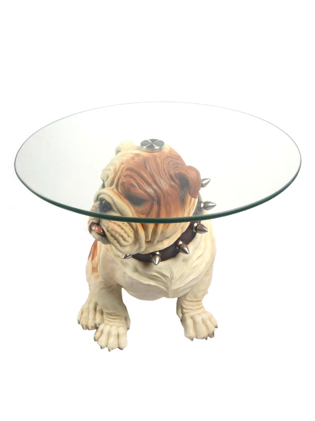 British bulldog glass top side table 