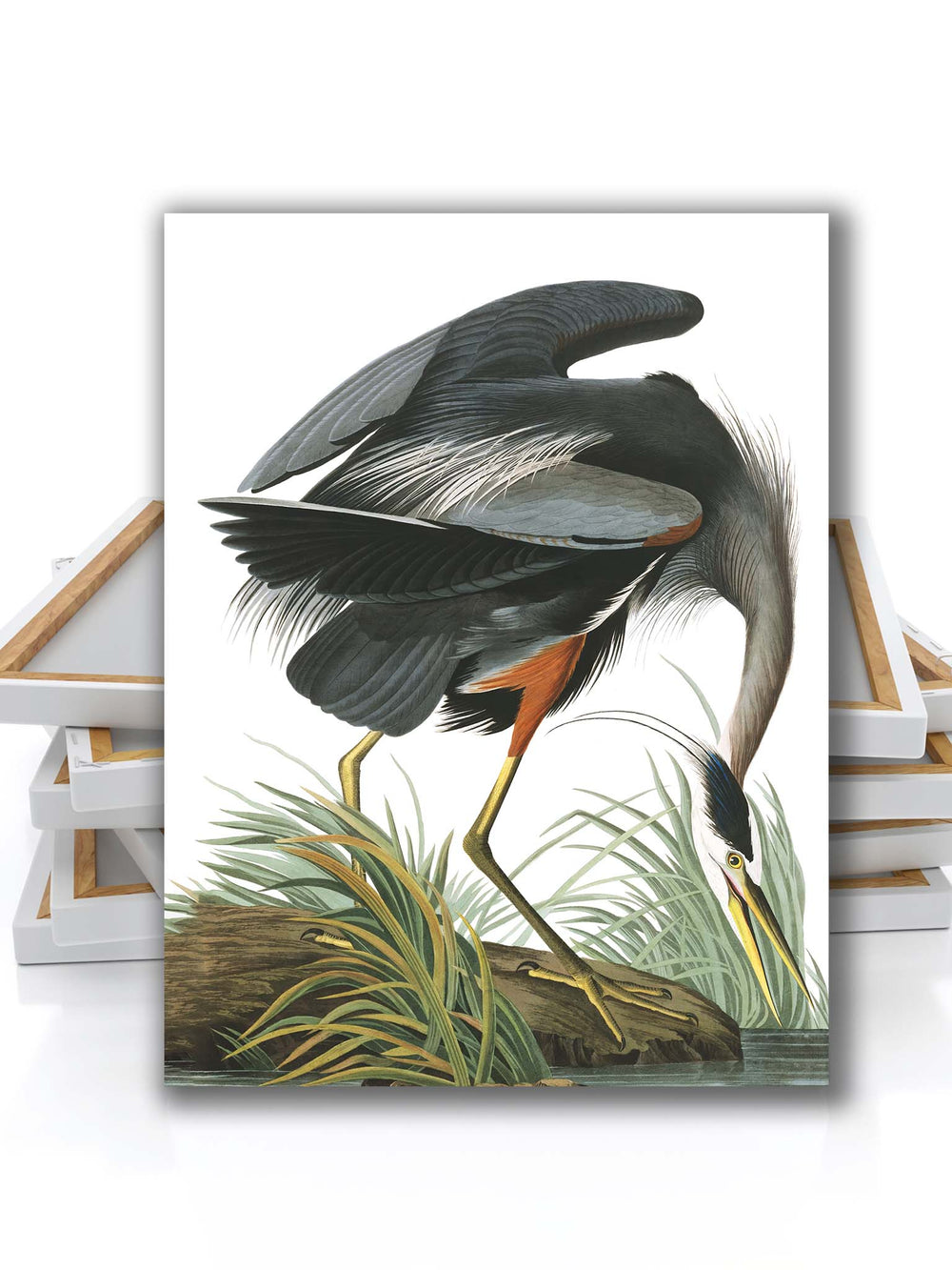 Blue heron wall picture