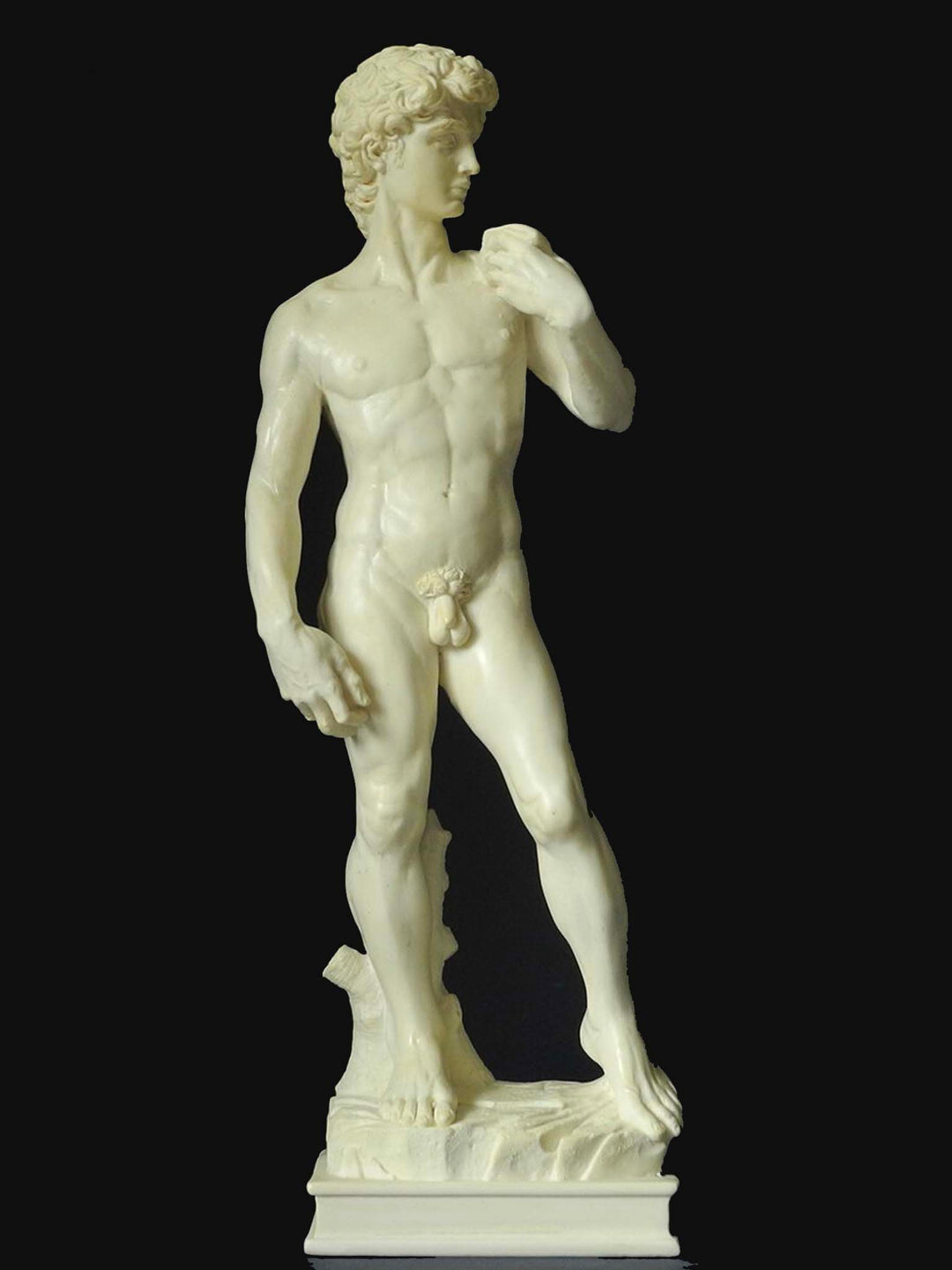 David (Michelangelo) Sculpture