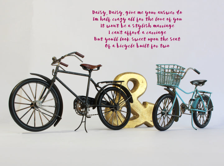 Vintage Bike Model Bicycle