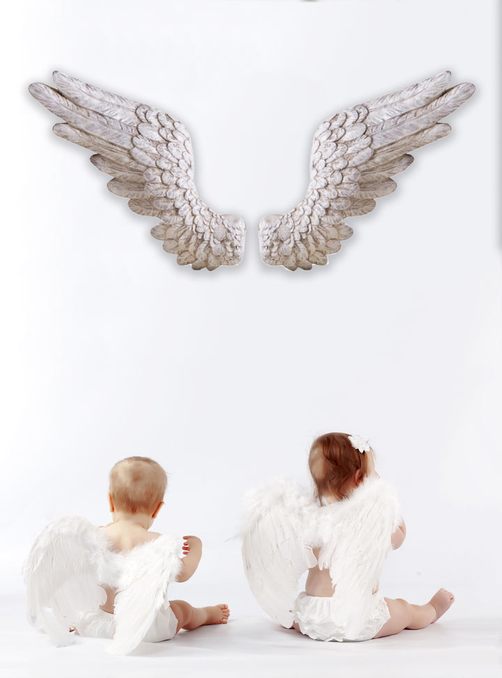White Angel Wings, Pair of Angel Wings