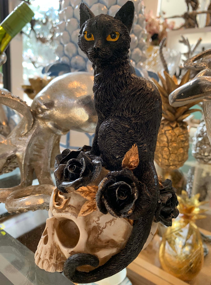 Black Cat Figure on Human Skull