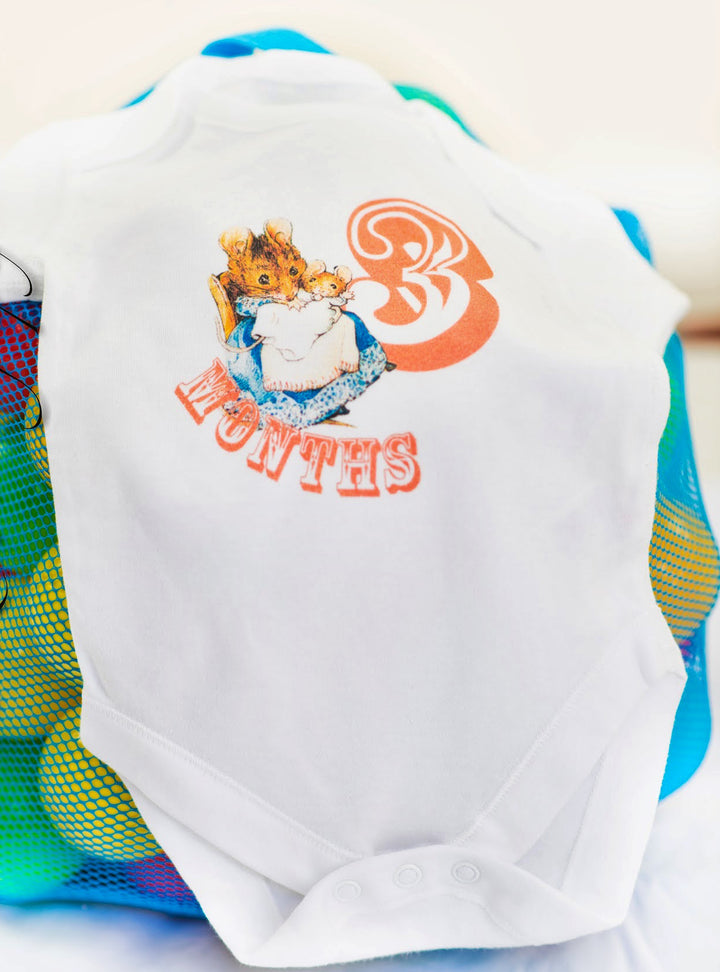 Baby Milestone Clothing – Peter Rabbit Monthly Baby Onesie Set, Beatrix Potter