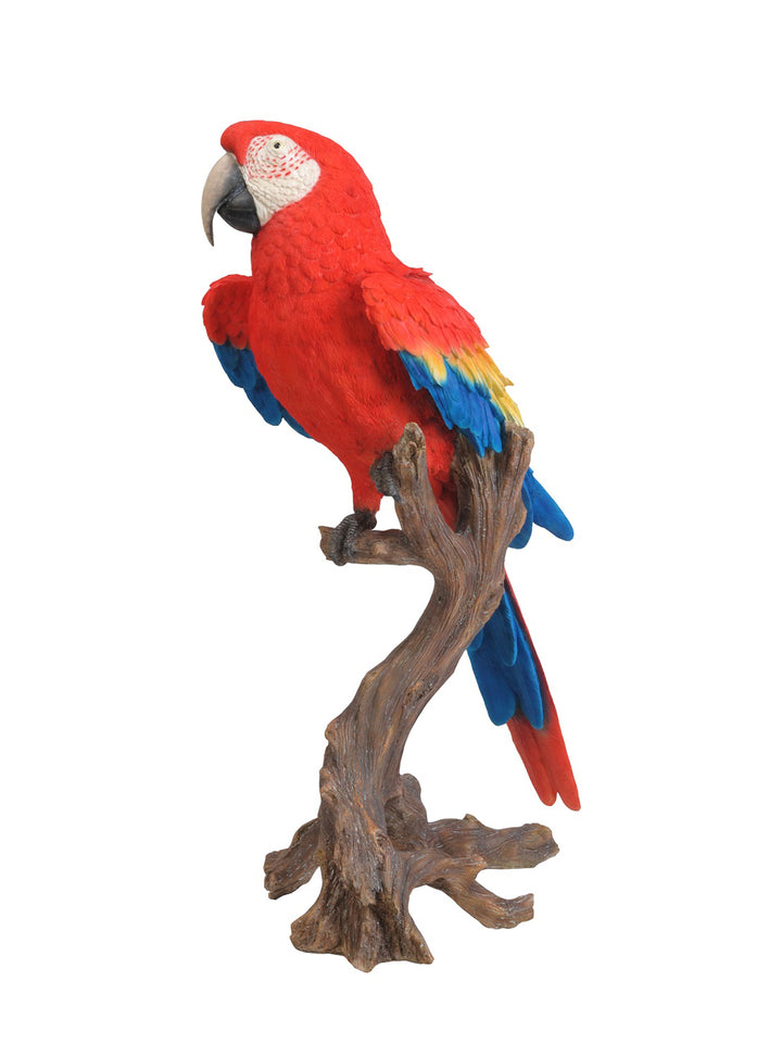 Tropical Birds –  Red Parrot Ornament – Parrot of Brazil Life Size Statue